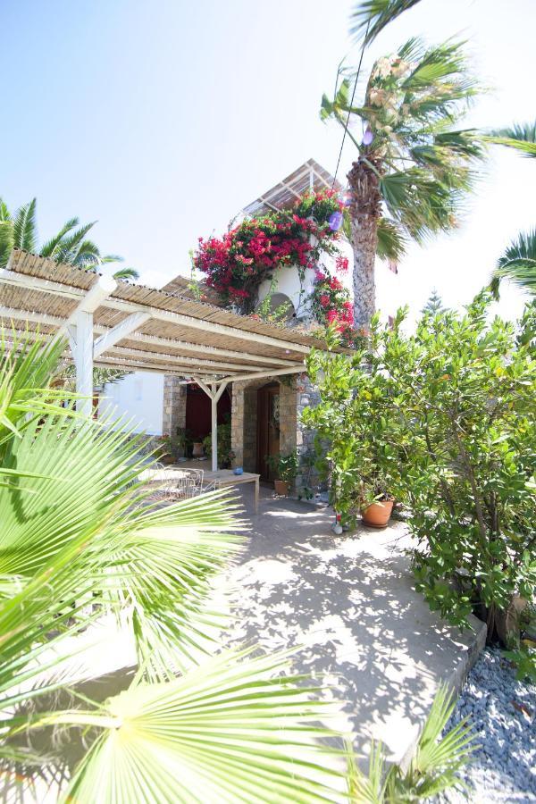 Villa Katapoliani No.3 Katapola Exterior photo